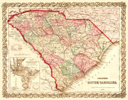 South Carolina histo