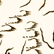 old Virginia map