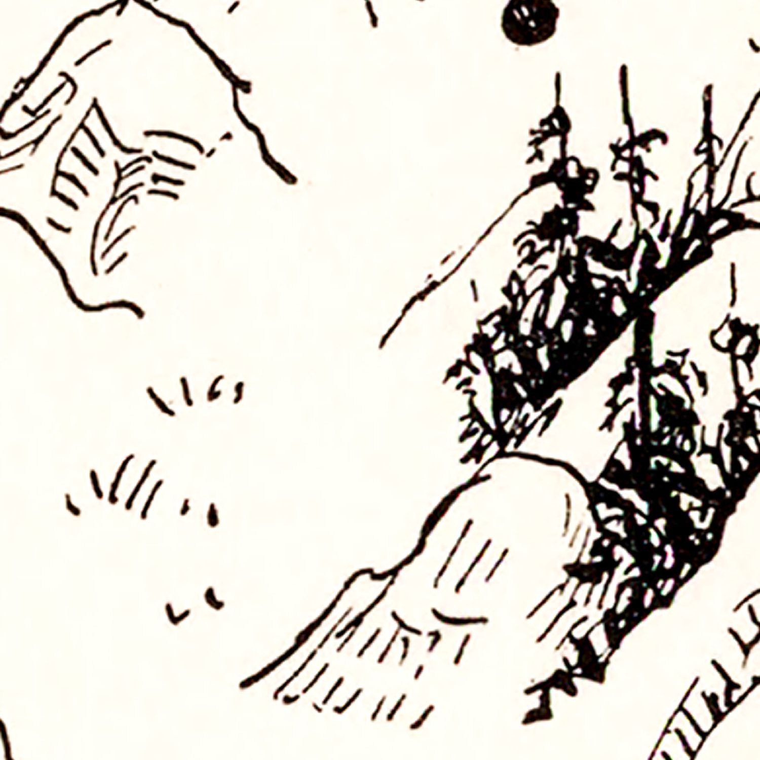 Restored historic details from the 1931 state map of Nevada, Nevada