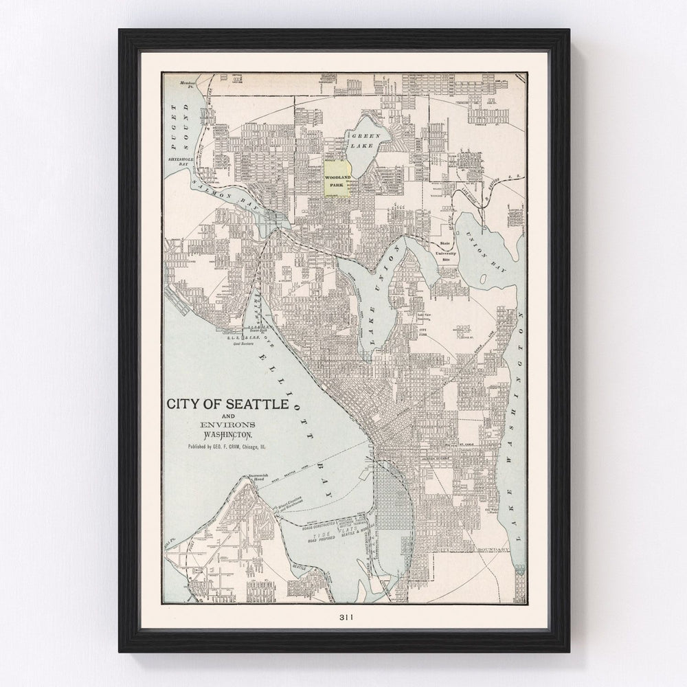 Seattle Vintage Map 1901