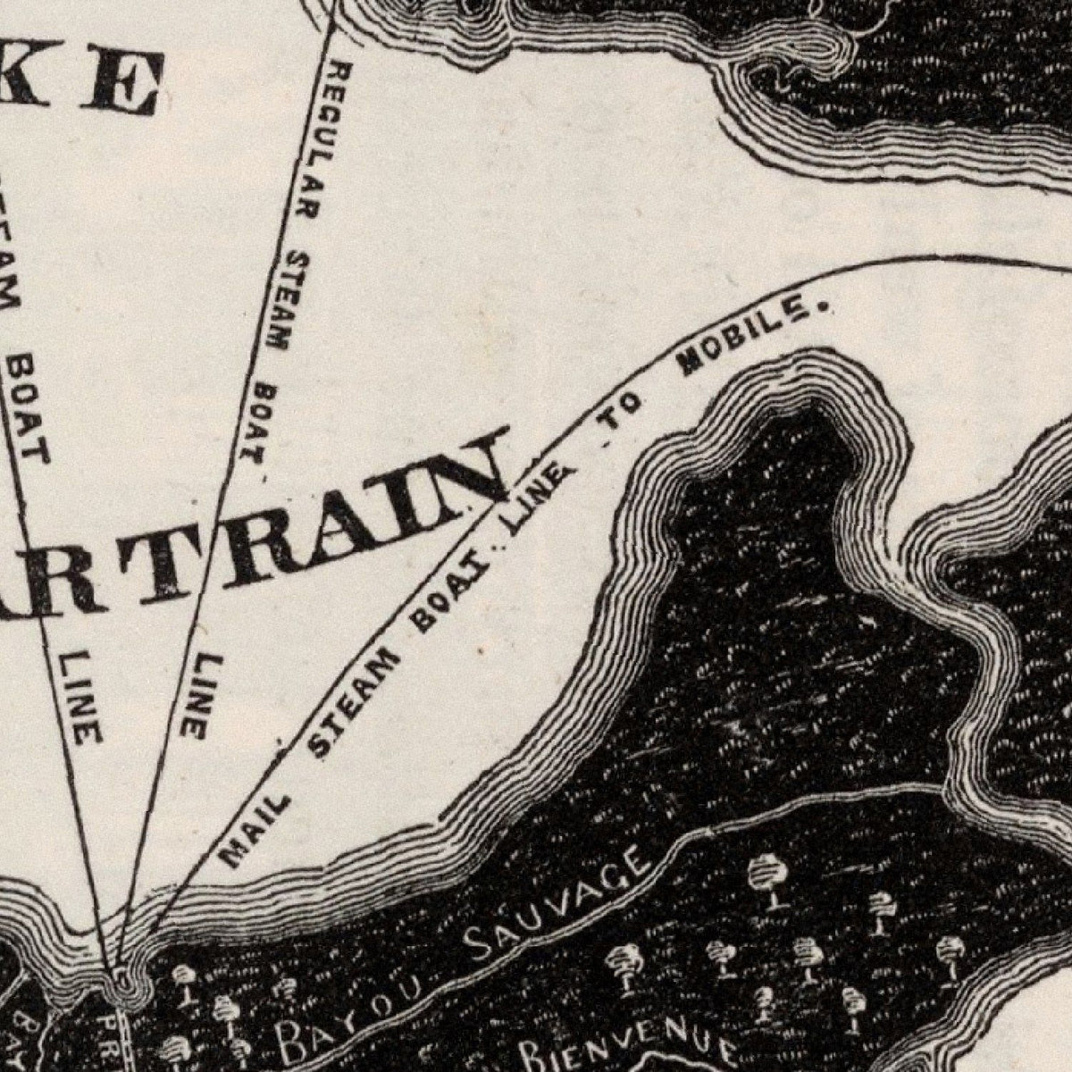 Restored historic details from the 1845 city map of New Orleans, Louisiana