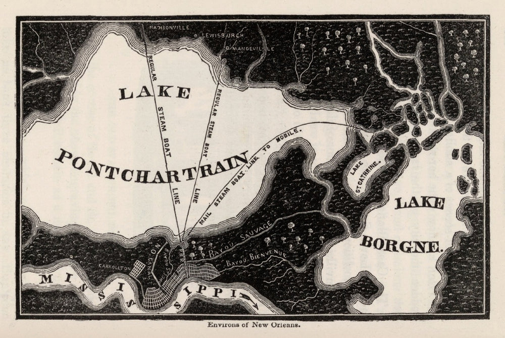 Vintage Map of New Orleans, Louisiana 1845 print style example