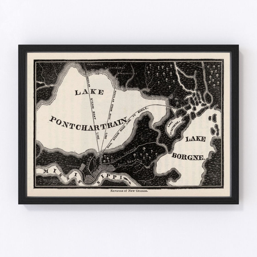 New Orleans Vintage Map 1845
