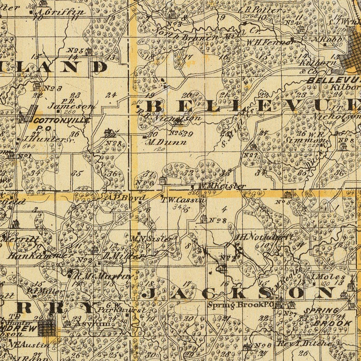 Restored historic details from the 1875 county map of Jackson County, Iowa