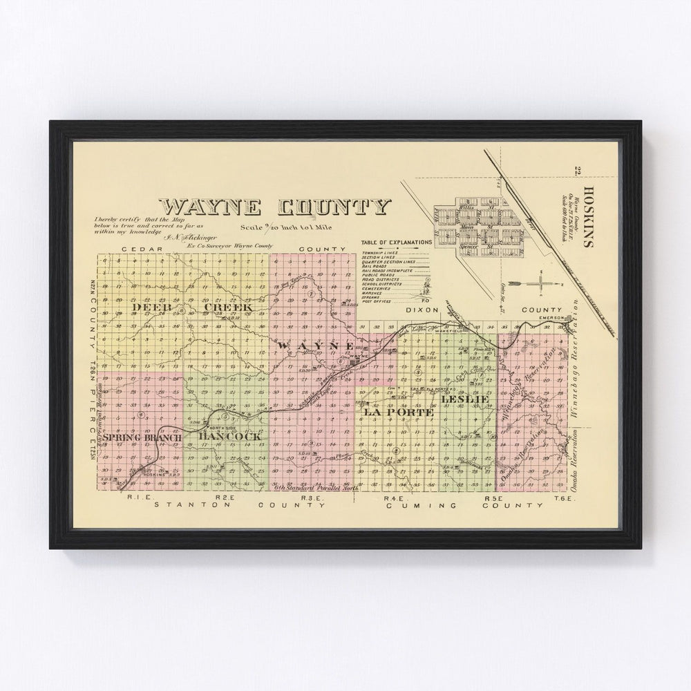 Wayne County Vintage Map 1885