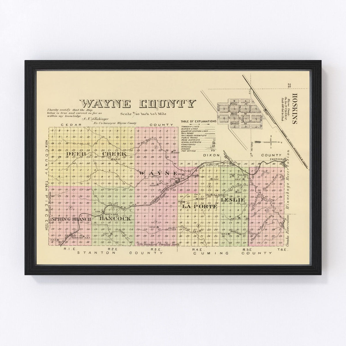 Wayne County Vintage Map 1885