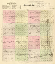 Saline County histor