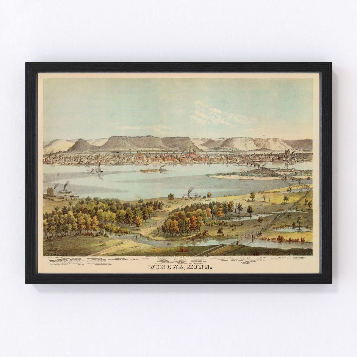 Winona County Vintage Map 1874