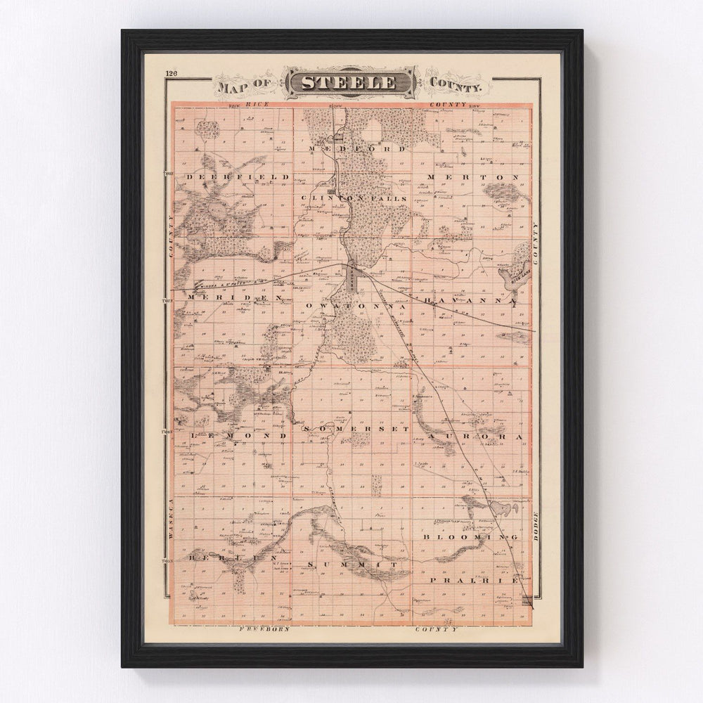 Steele County Vintage Map 1874