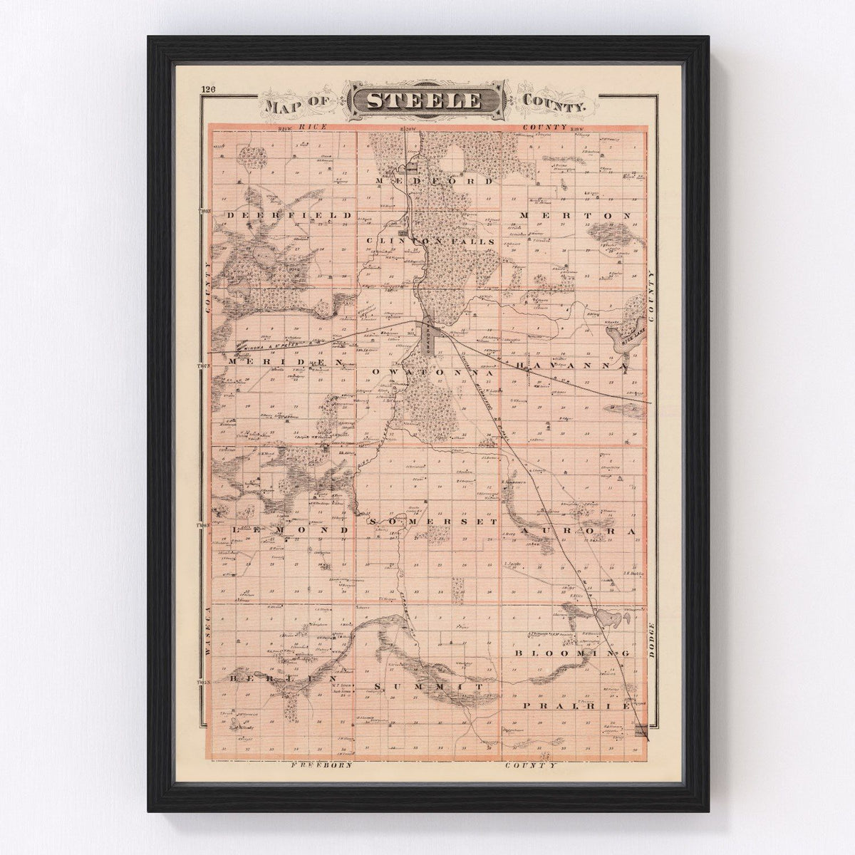 Steele County Vintage Map 1874