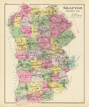 Grafton County histo