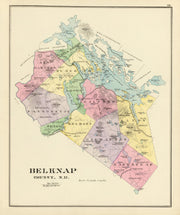 Belknap County histo