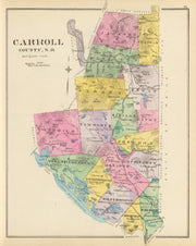 Carroll County histo