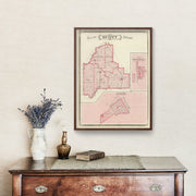 Scott County art