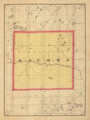 Oscoda County histor
