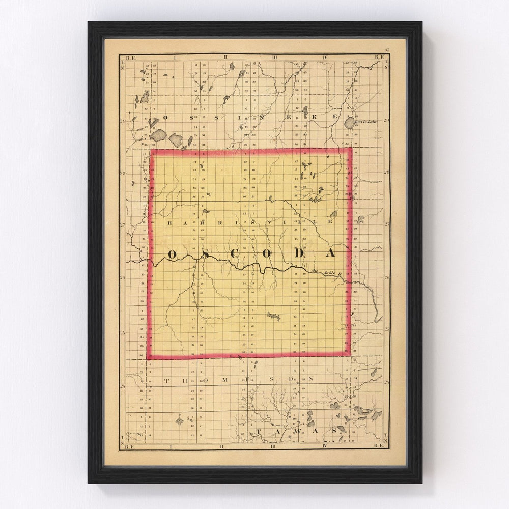 Oscoda County Vintage Map 1873