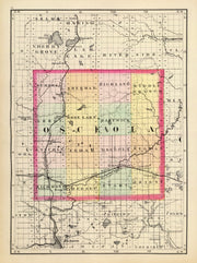 Osceola County histo