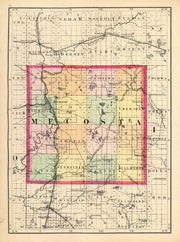 Mecosta County histo
