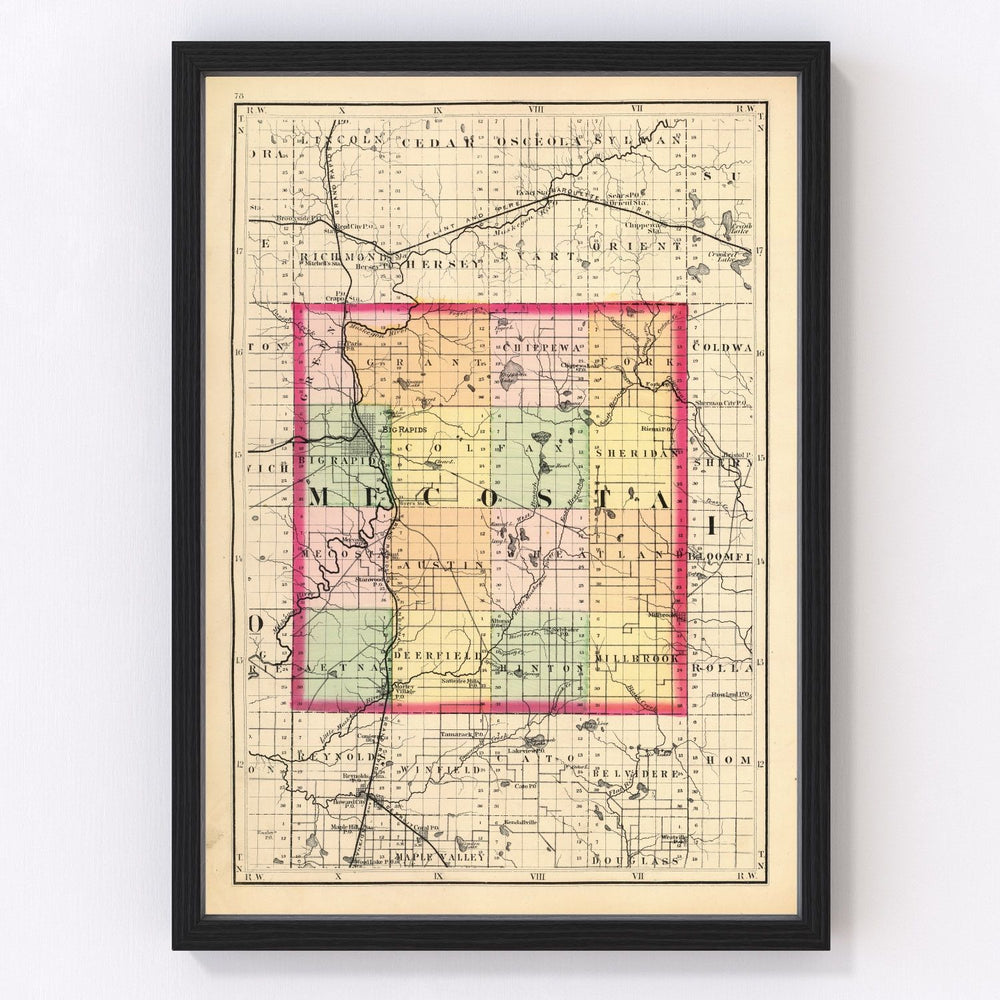 Mecosta County Vintage Map 1873