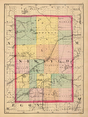 Newaygo County histo
