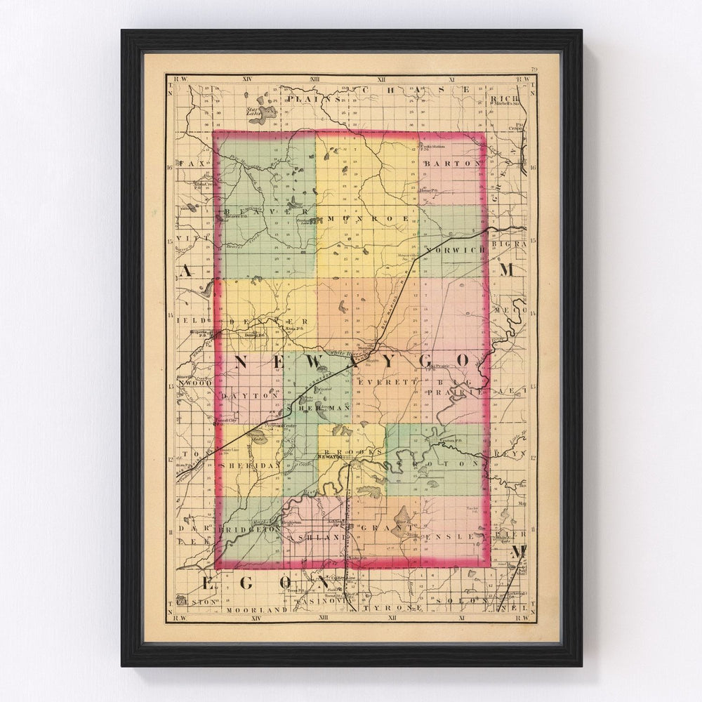 Newaygo County Vintage Map 1873