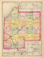 Tuscola County histo