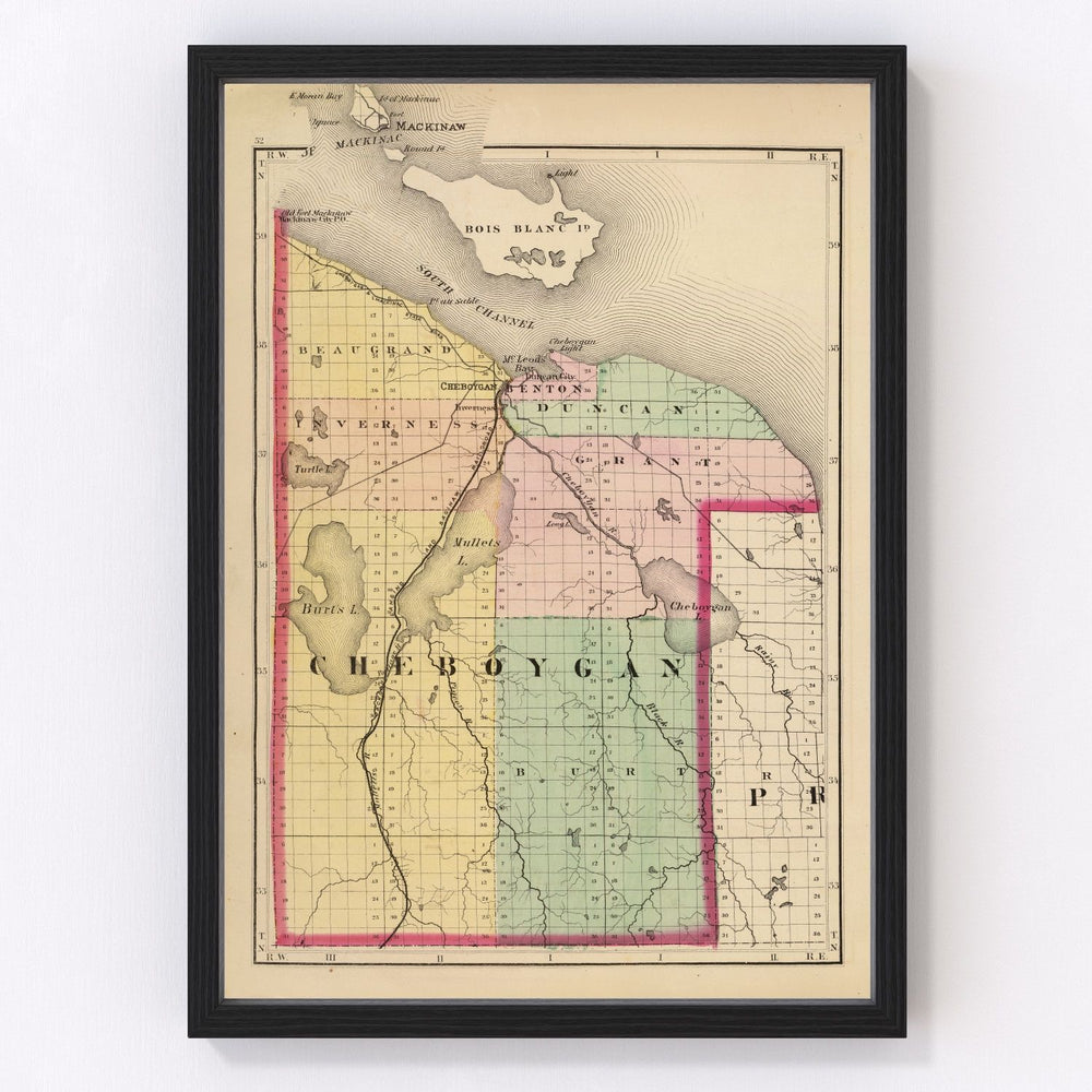 Cheboygan County Vintage Map 1873
