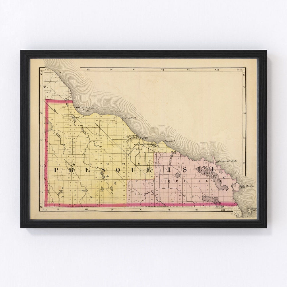 Presque Isle County Vintage Map 1873