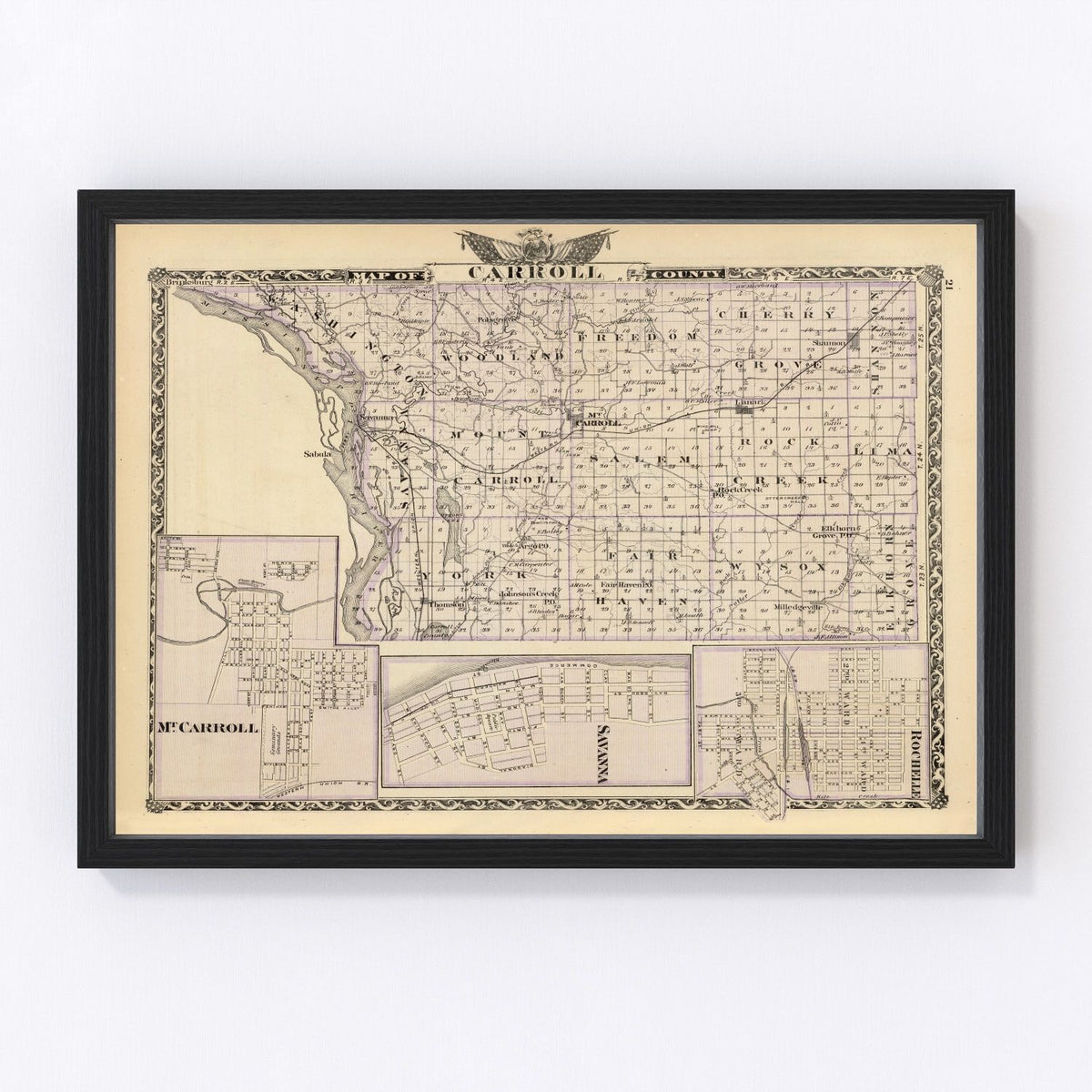 Carroll County Vintage Map 1876