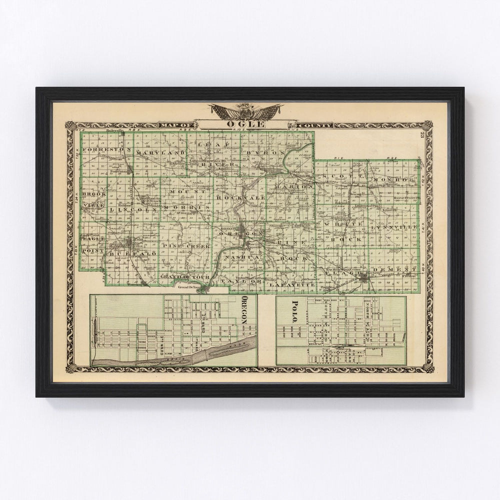 Ogle County Vintage Map 1876
