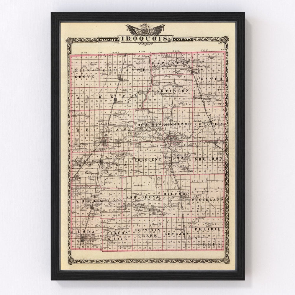 Iroquois County Vintage Map 1876