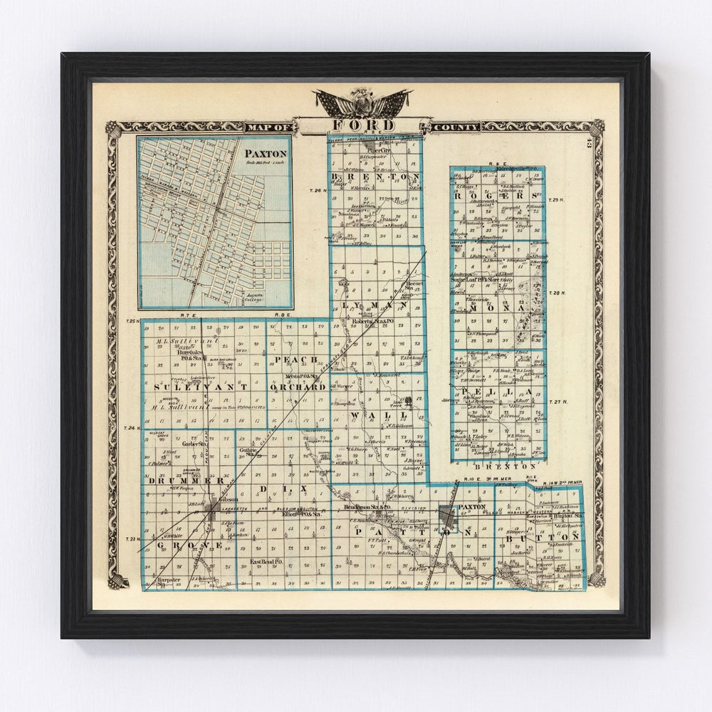 Ford County Vintage Map 1876
