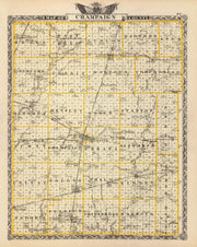 Champaign County his