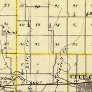 old Coles County map