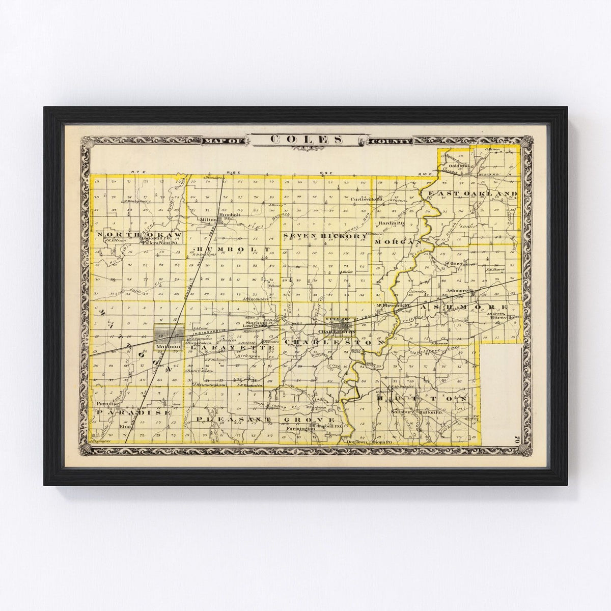 Coles County Vintage Map 1876