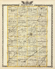 Macoupin County hist