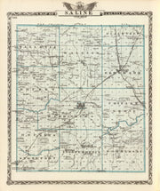 Saline County histor