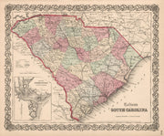 South Carolina histo