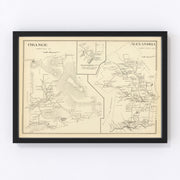 Alexandria Vintage Map 1892