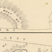 old Albany map