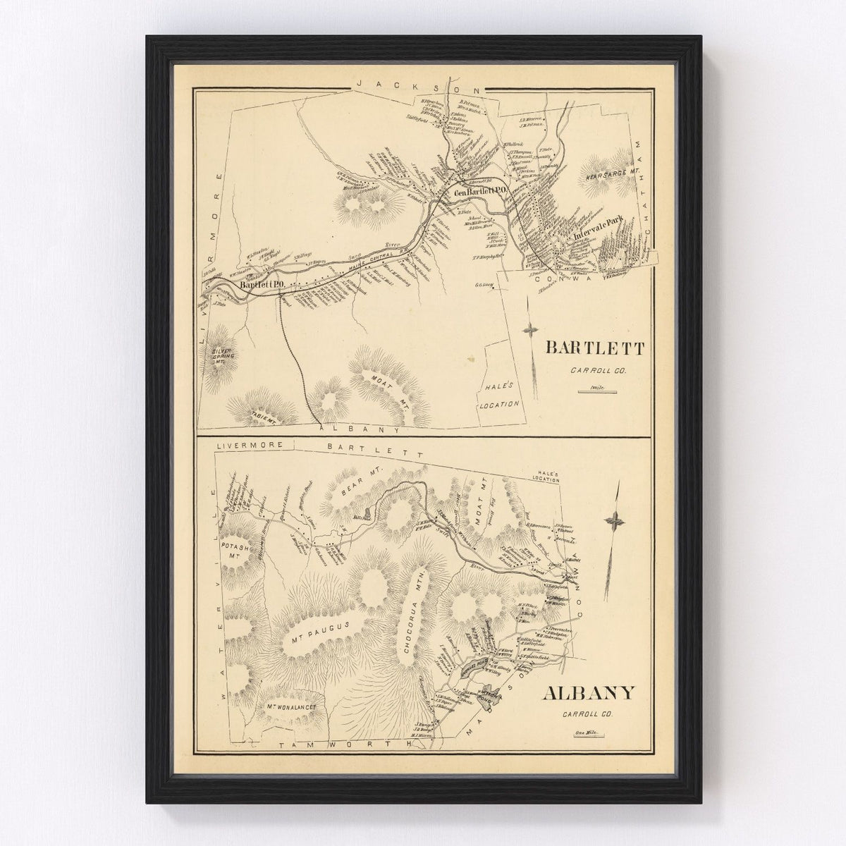 Albany Vintage Map 1892