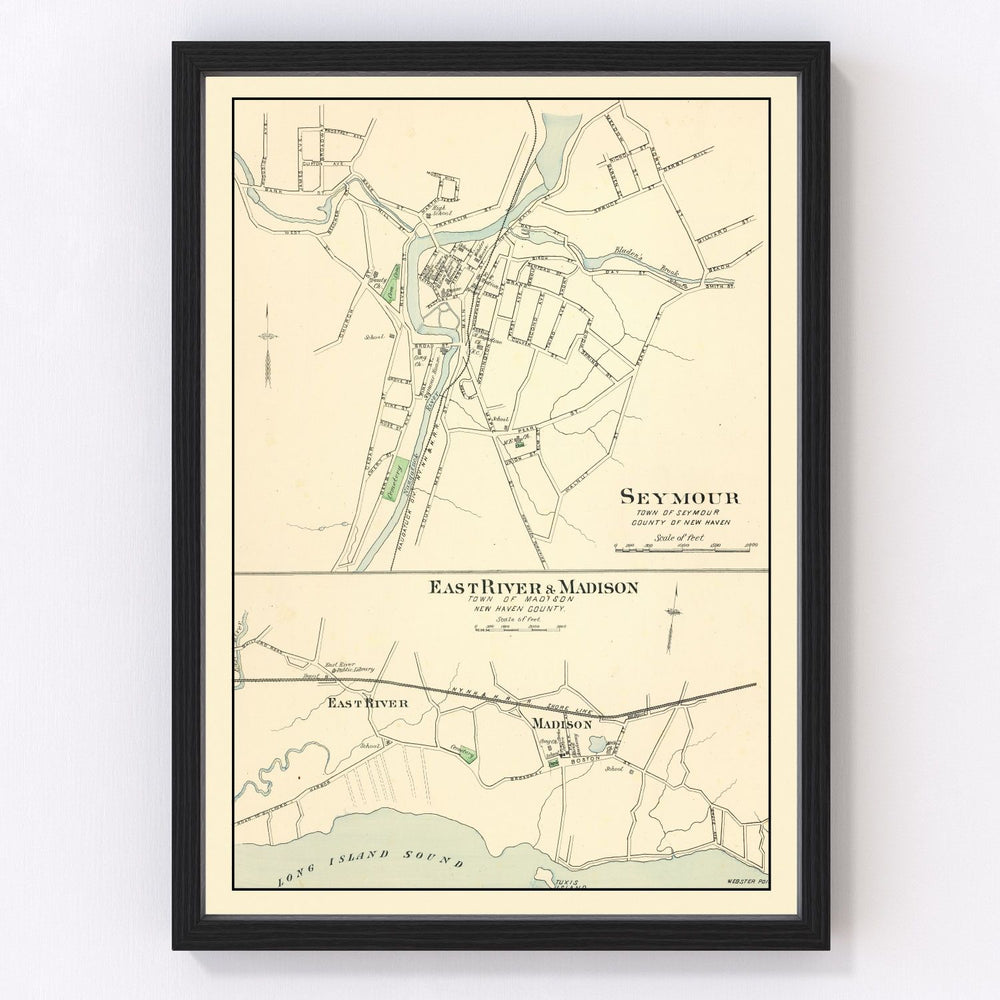 Madison Vintage Map 1893