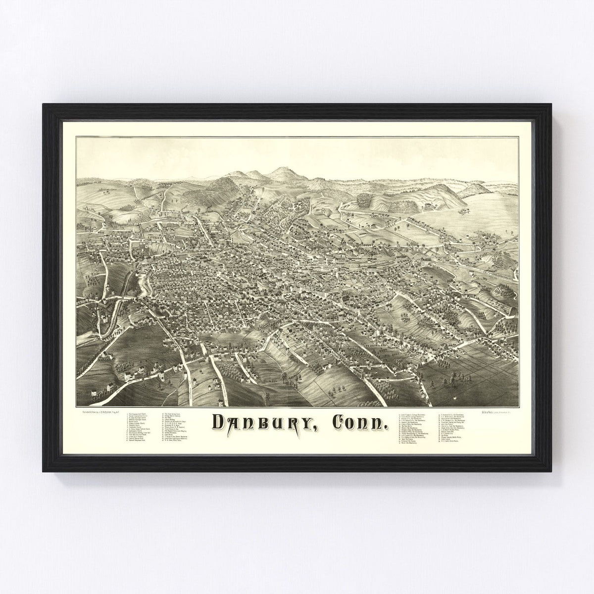 Danbury Vintage Map 1884