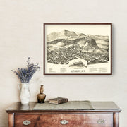 Altamont art