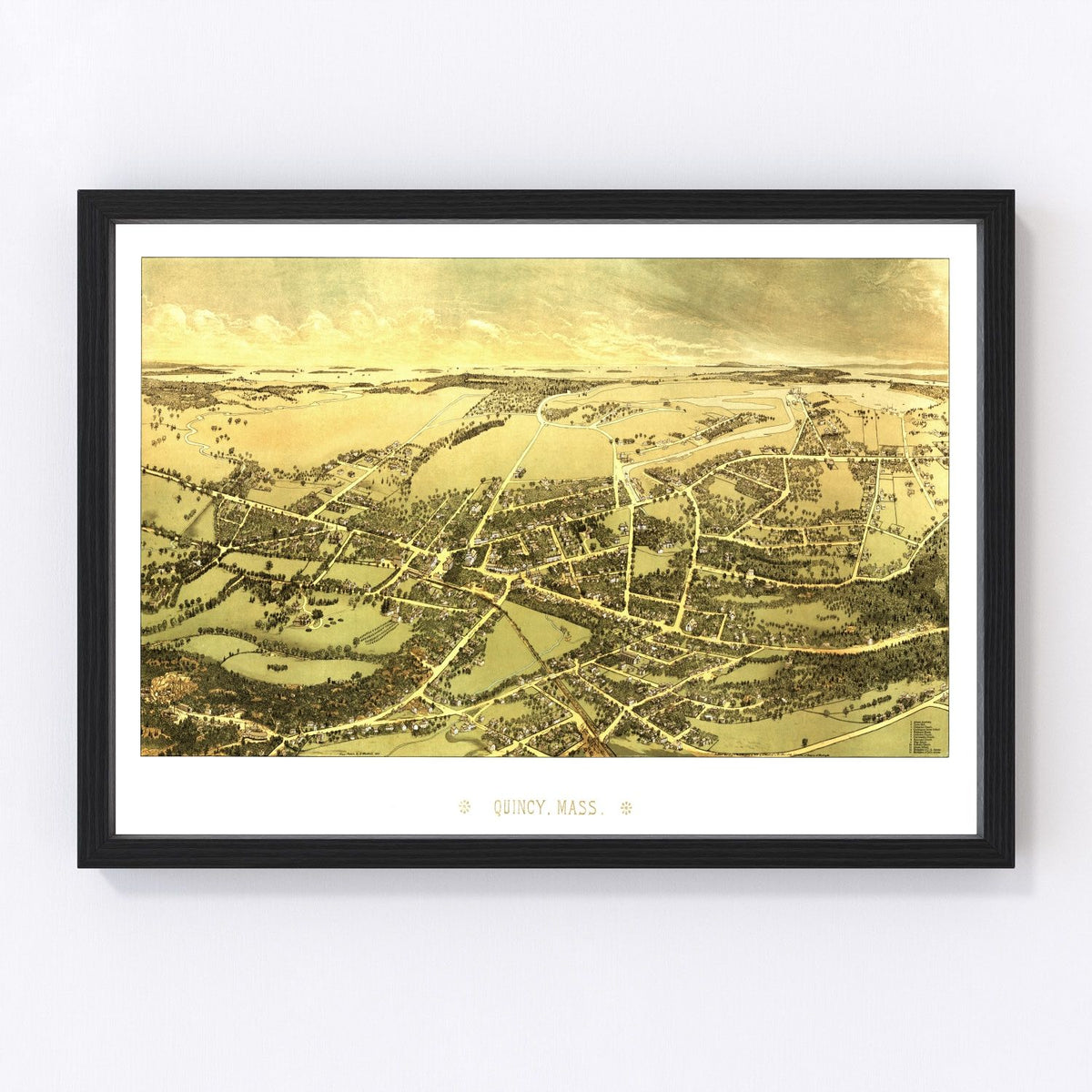 Quincy Vintage Map 1878