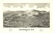 Ellenville history