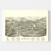 map of Le Roy