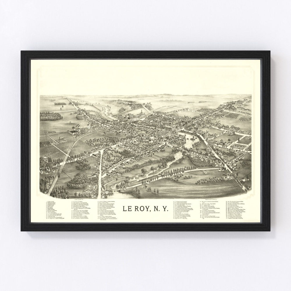 Le Roy Vintage Map 1892