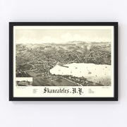 Skaneateles Vintage Map 1884