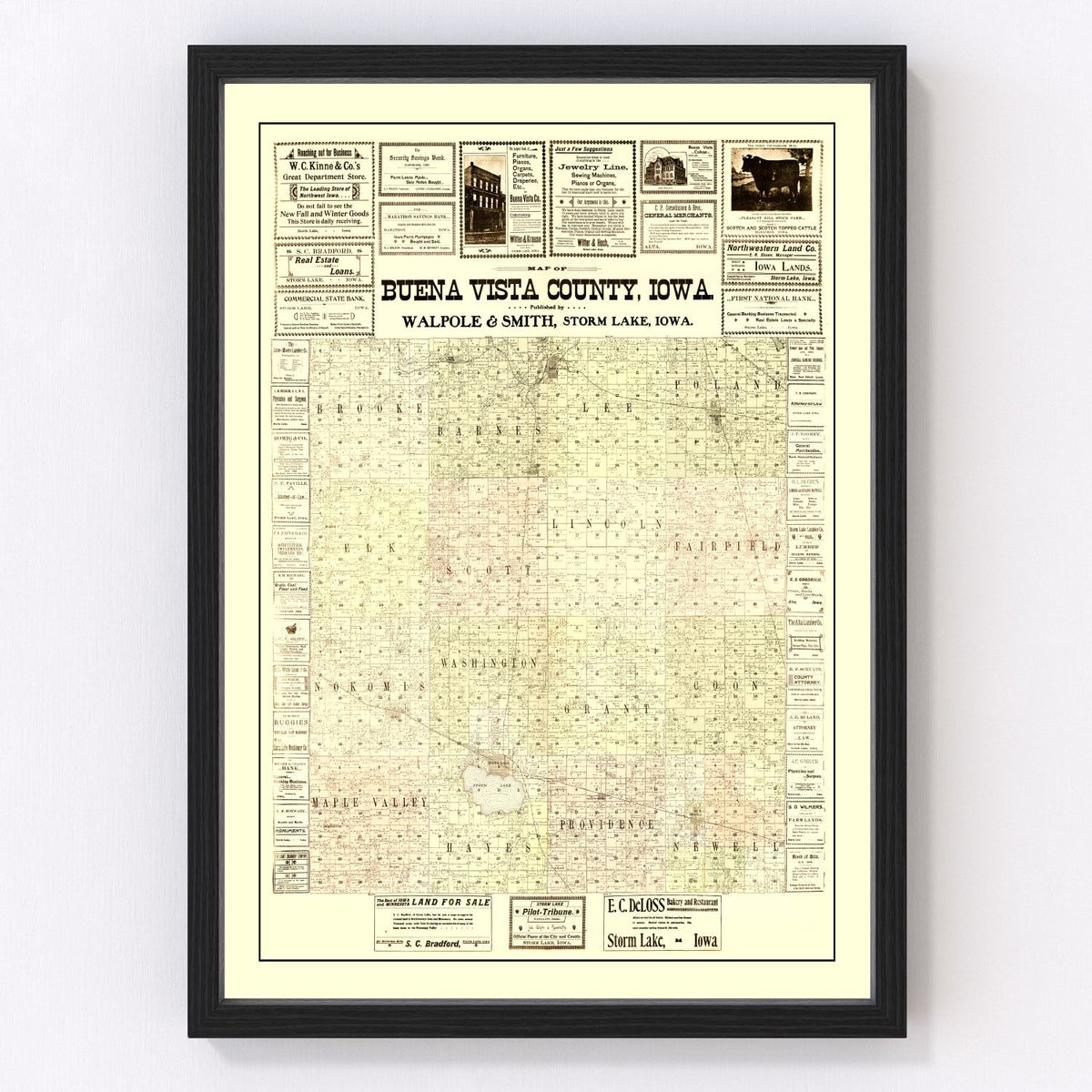 Buena Vista County Vintage Map 1901